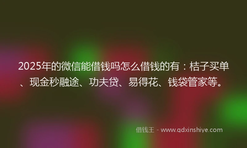 2025年的微信能借钱吗怎么借钱的有：桔子买单、现金秒融途、功夫贷、易得花、钱袋管家等。