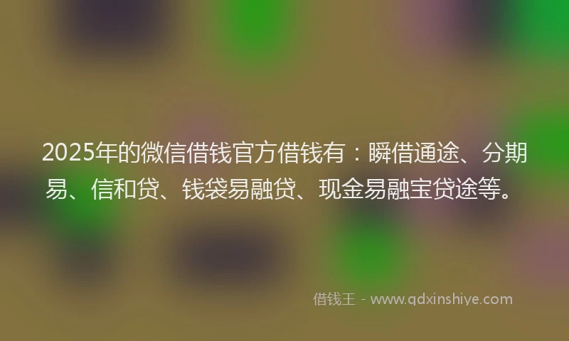 2025年的微信借钱官方借钱有：瞬借通途、分期易、信和贷、钱袋易融贷、现金易融宝贷途等。