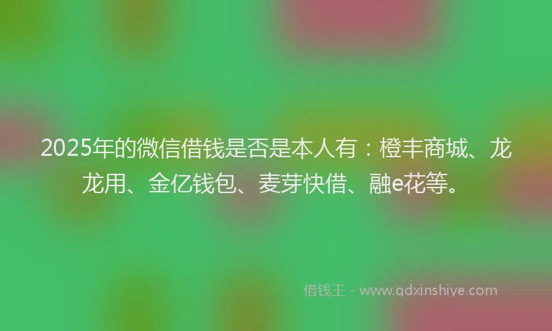 2025年的微信借钱是否是本人有：橙丰商城、龙龙用、金亿钱包、麦芽快借、融e花等。