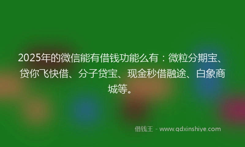 2025年的微信能有借钱功能么有：微粒分期宝、贷你飞快借、分子贷宝、现金秒借融途、白象商城等。