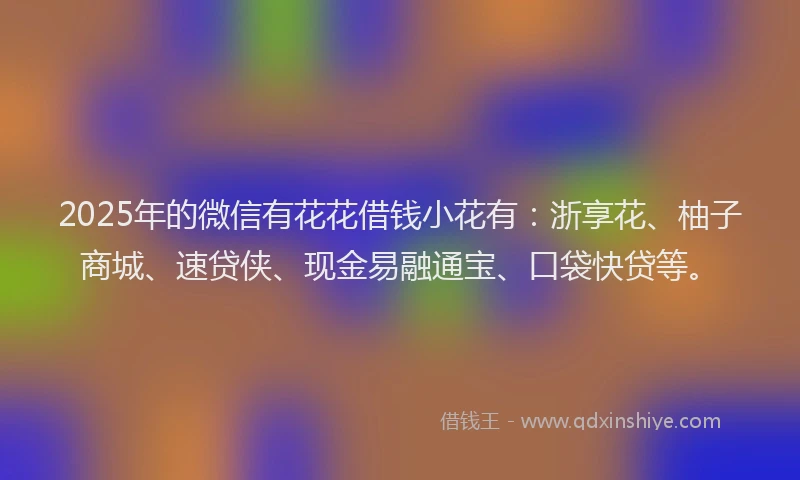 2025年的微信有花花借钱小花有：浙享花、柚子商城、速贷侠、现金易融通宝、口袋快贷等。