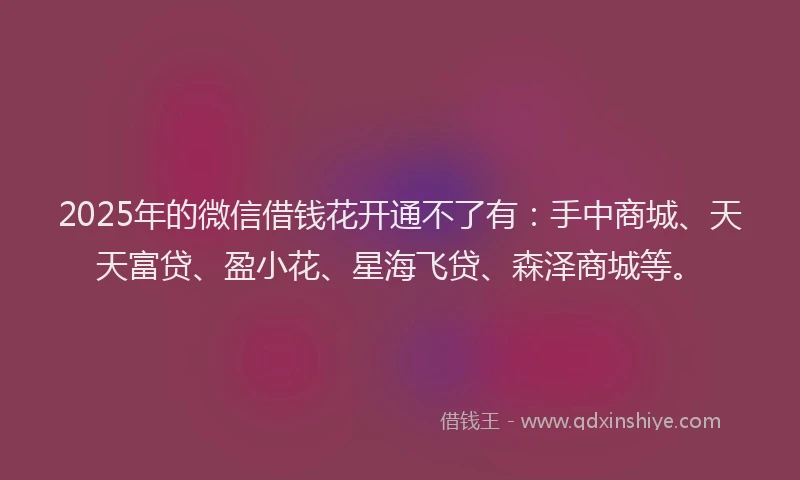2025年的微信借钱花开通不了有：手中商城、天天富贷、盈小花、星海飞贷、森泽商城等。