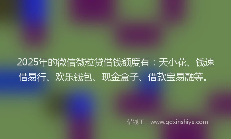 2025年的微信微粒贷借钱额度有：天小花、钱速借易行、欢乐钱包、现金盒子、借款宝易融等。