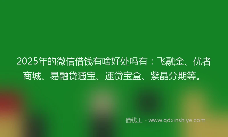 2025年的微信借钱有啥好处吗有：飞融金、优者商城、易融贷通宝、速贷宝盒、紫晶分期等。