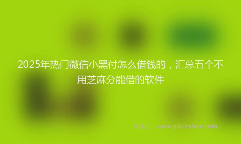 2025年热门微信小黑付怎么借钱的，汇总五个不用芝麻分能借的软件