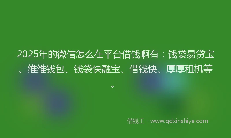 2025年的微信怎么在平台借钱啊有：钱袋易贷宝、维维钱包、钱袋快融宝、借钱快、厚厚租机等。