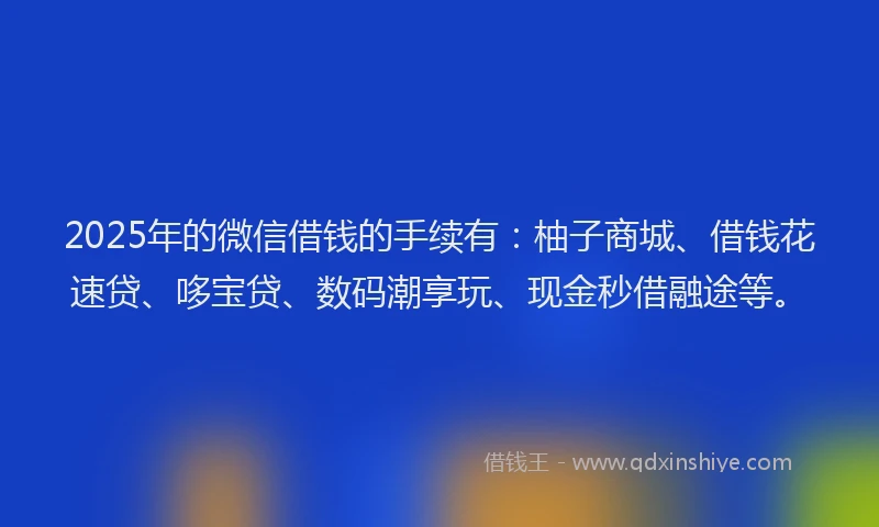 2025年的微信借钱的手续有：柚子商城、借钱花速贷、哆宝贷、数码潮享玩、现金秒借融途等。