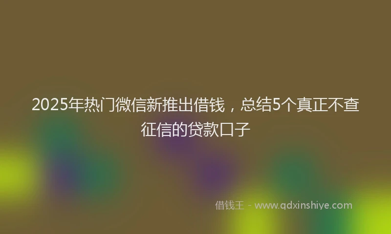 2025年热门微信新推出借钱，总结5个真正不查征信的贷款口子