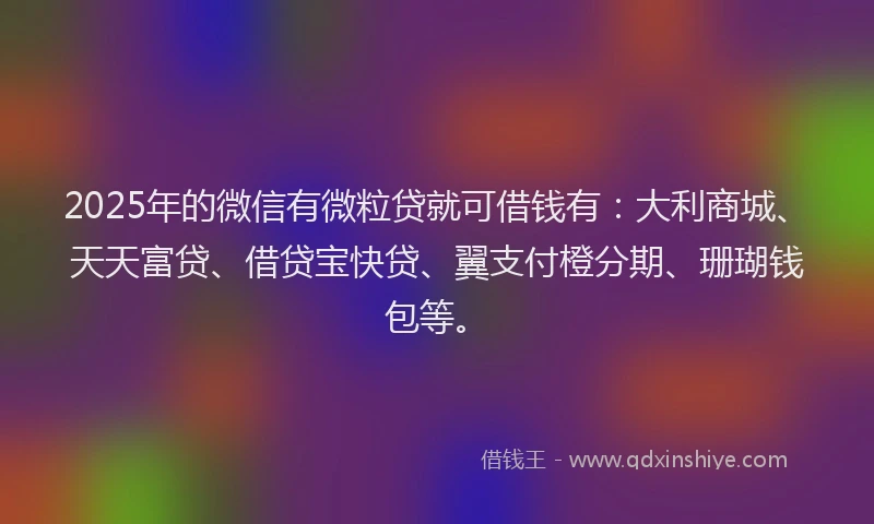 2025年的微信有微粒贷就可借钱有：大利商城、天天富贷、借贷宝快贷、翼支付橙分期、珊瑚钱包等。
