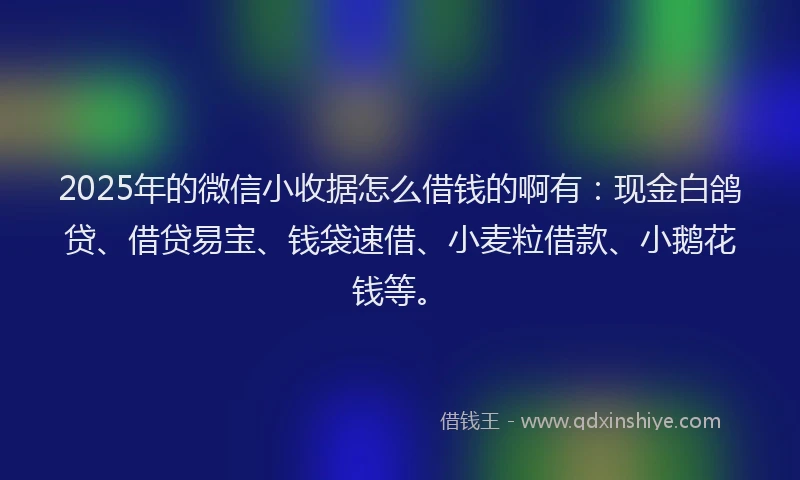 2025年的微信小收据怎么借钱的啊有：现金白鸽贷、借贷易宝、钱袋速借、小麦粒借款、小鹅花钱等。