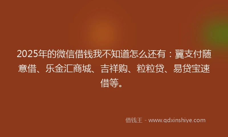 2025年的微信借钱我不知道怎么还有：翼支付随意借、乐金汇商城、吉祥购、粒粒贷、易贷宝速借等。