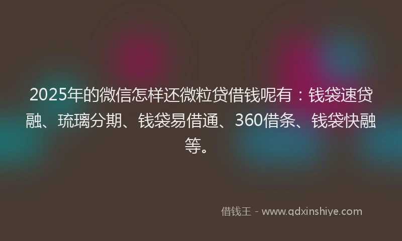 2025年的微信怎样还微粒贷借钱呢有：钱袋速贷融、琉璃分期、钱袋易借通、360借条、钱袋快融等。