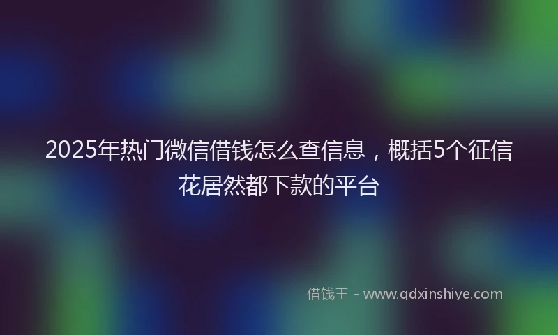 2025年热门微信借钱怎么查信息，概括5个征信花居然都下款的平台