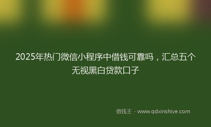2025年热门微信小程序中借钱可靠吗，汇总五个无视黑白贷款口子