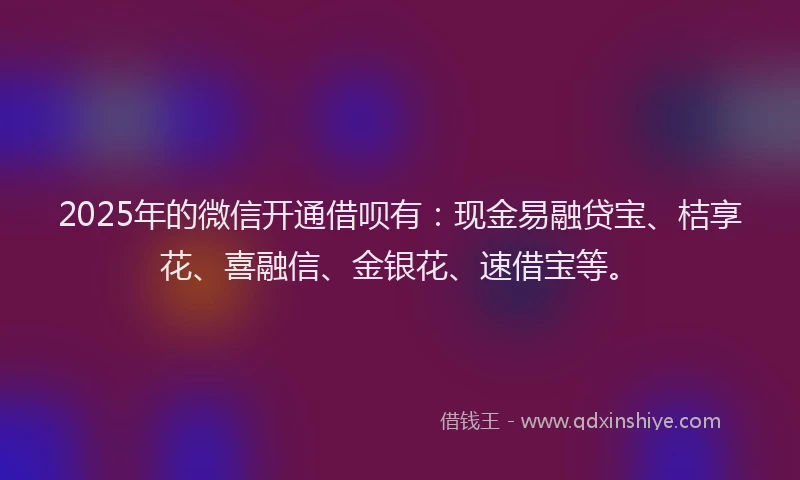 2025年的微信开通借呗有：现金易融贷宝、桔享花、喜融信、金银花、速借宝等。