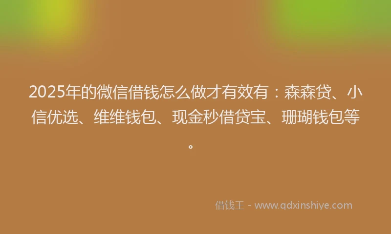 2025年的微信借钱怎么做才有效有：森森贷、小信优选、维维钱包、现金秒借贷宝、珊瑚钱包等。