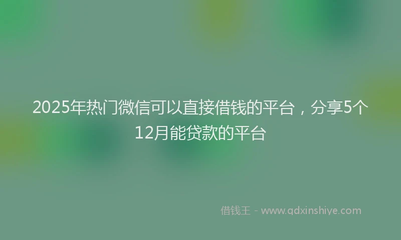 2025年热门微信可以直接借钱的平台，分享5个12月能贷款的平台