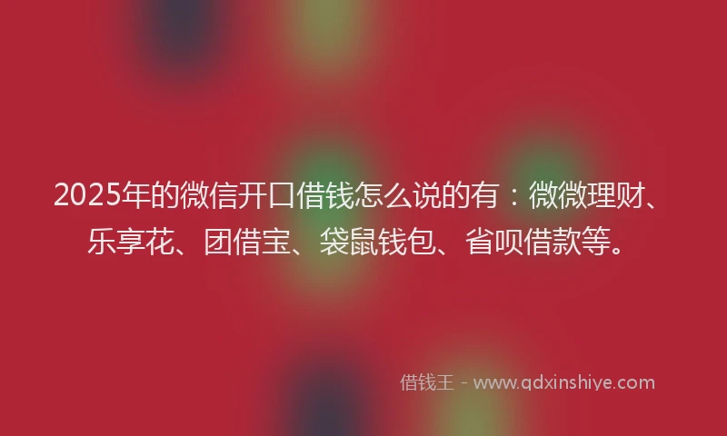 2025年的微信开口借钱怎么说的有：微微理财、乐享花、团借宝、袋鼠钱包、省呗借款等。