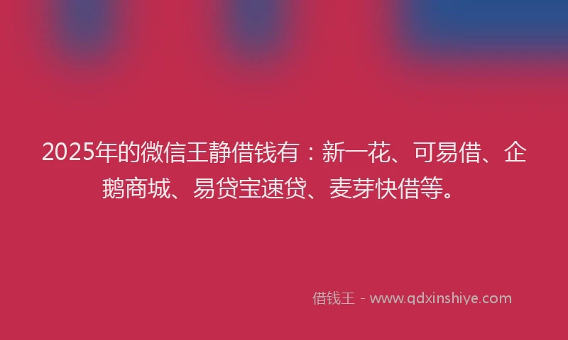 2025年的微信王静借钱有：新一花、可易借、企鹅商城、易贷宝速贷、麦芽快借等。