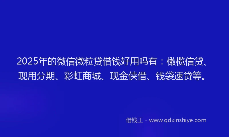 2025年的微信微粒贷借钱好用吗有：橄榄信贷、现用分期、彩虹商城、现金侠借、钱袋速贷等。