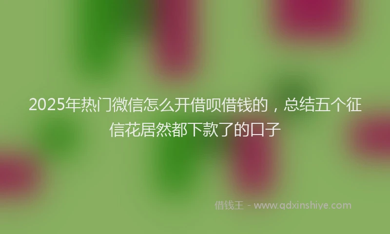2025年热门微信怎么开借呗借钱的，总结五个征信花居然都下款了的口子