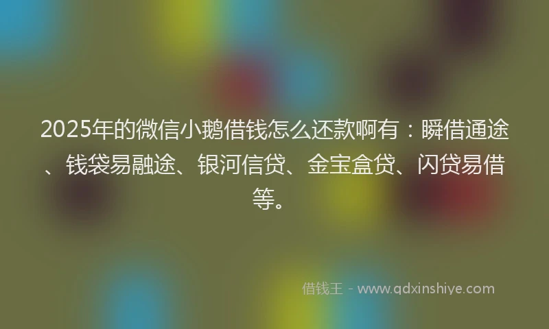 2025年的微信小鹅借钱怎么还款啊有：瞬借通途、钱袋易融途、银河信贷、金宝盒贷、闪贷易借等。