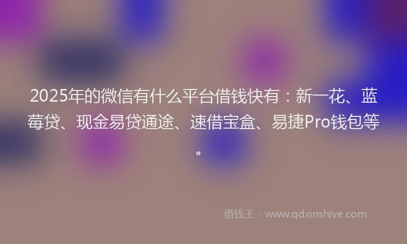 2025年的微信有什么平台借钱快有：新一花、蓝莓贷、现金易贷通途、速借宝盒、易捷Pro钱包等。