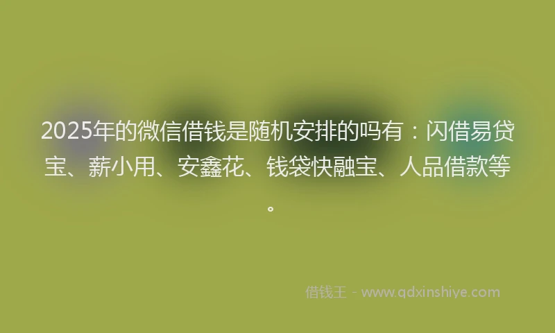 2025年的微信借钱是随机安排的吗有：闪借易贷宝、薪小用、安鑫花、钱袋快融宝、人品借款等。