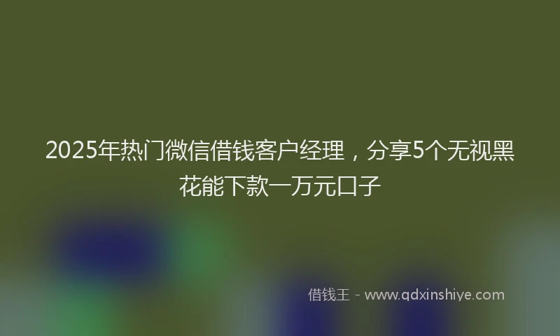 2025年热门微信借钱客户经理，分享5个无视黑花能下款一万元口子