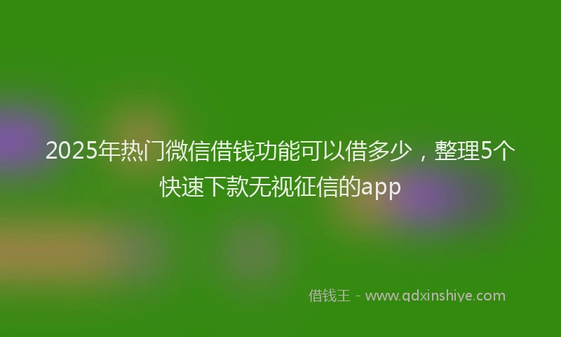 2025年热门微信借钱功能可以借多少，整理5个快速下款无视征信的app