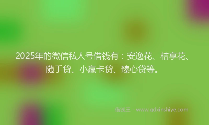 2025年的微信私人号借钱有：安逸花、桔享花、随手贷、小赢卡贷、臻心贷等。