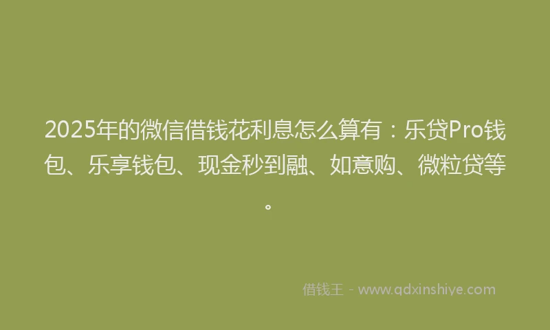 2025年的微信借钱花利息怎么算有：乐贷Pro钱包、乐享钱包、现金秒到融、如意购、微粒贷等。