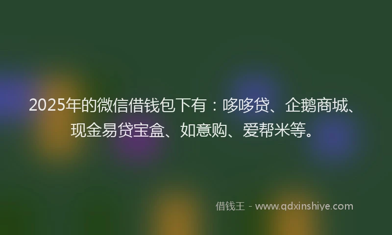 2025年的微信借钱包下有：哆哆贷、企鹅商城、现金易贷宝盒、如意购、爱帮米等。