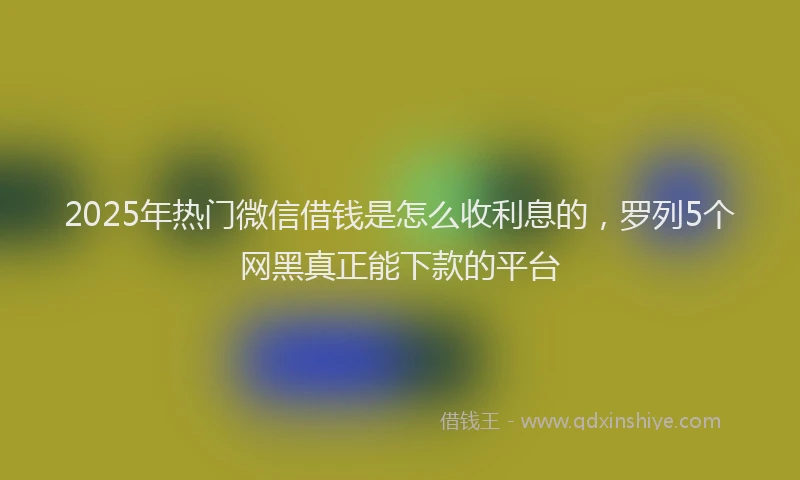 2025年热门微信借钱是怎么收利息的，罗列5个网黑真正能下款的平台