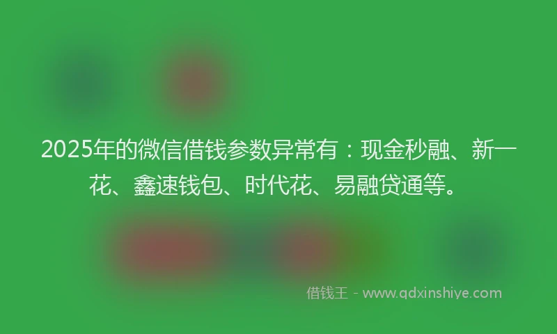 2025年的微信借钱参数异常有：现金秒融、新一花、鑫速钱包、时代花、易融贷通等。