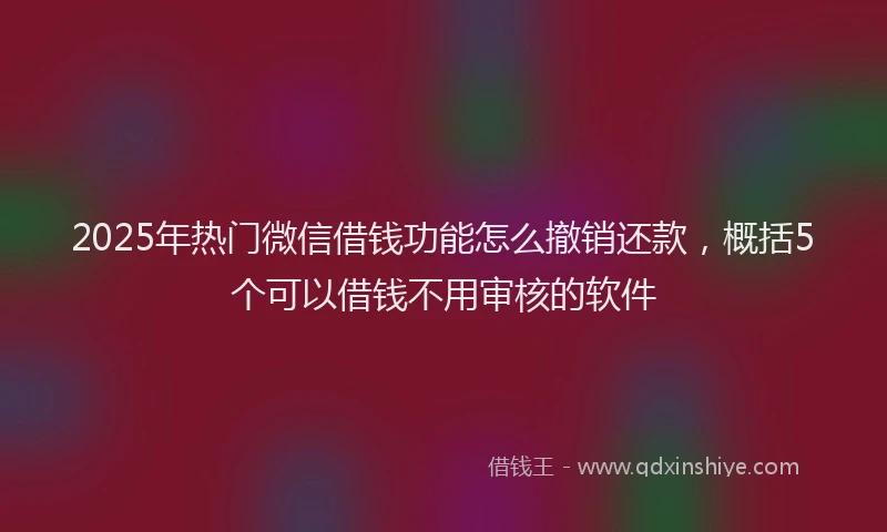2025年热门微信借钱功能怎么撤销还款，概括5个可以借钱不用审核的软件