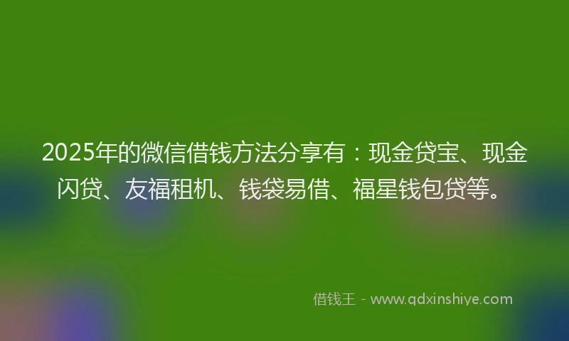 2025年的微信借钱方法分享有：现金贷宝、现金闪贷、友福租机、钱袋易借、福星钱包贷等。