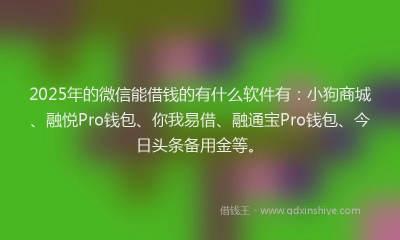2025年的微信能借钱的有什么软件有：小狗商城、融悦Pro钱包、你我易借、融通宝Pro钱包、今日头条备用金等。