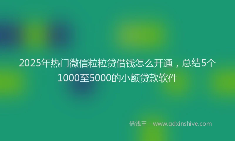 2025年热门微信粒粒贷借钱怎么开通，总结5个1000至5000的小额贷款软件