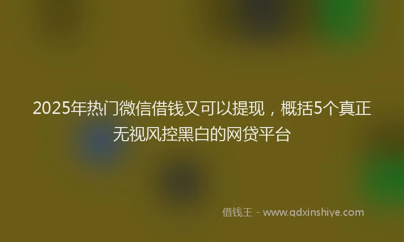2025年热门微信借钱又可以提现，概括5个真正无视风控黑白的网贷平台