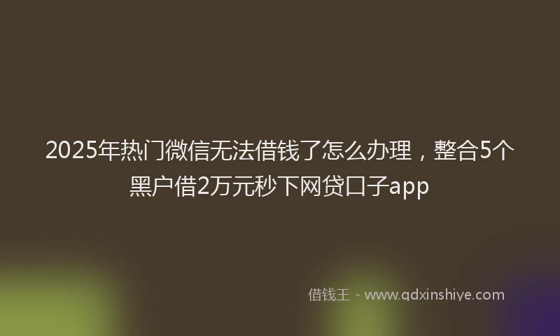 2025年热门微信无法借钱了怎么办理，整合5个黑户借2万元秒下网贷口子app