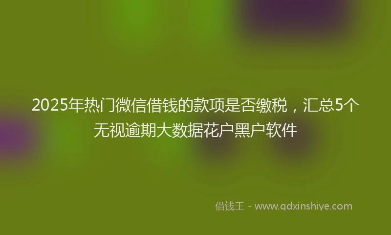 2025年热门微信借钱的款项是否缴税，汇总5个无视逾期大数据花户黑户软件