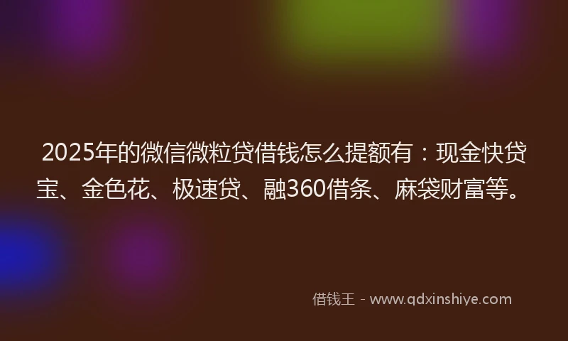 2025年的微信微粒贷借钱怎么提额有：现金快贷宝、金色花、极速贷、融360借条、麻袋财富等。