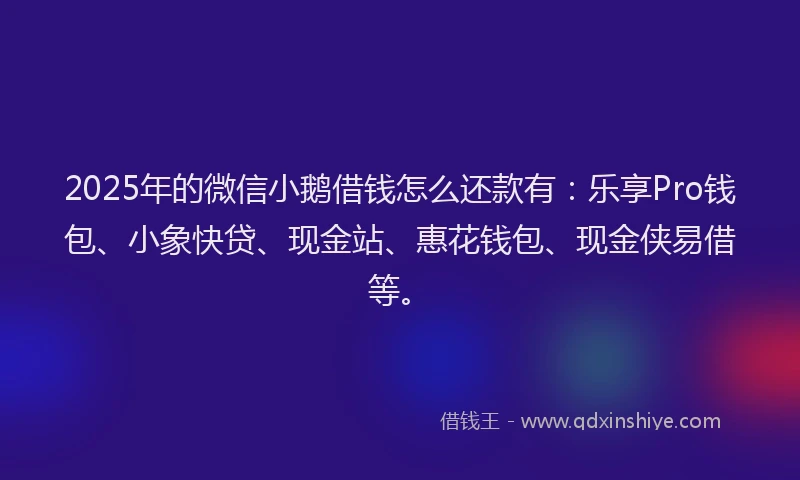 2025年的微信小鹅借钱怎么还款有：乐享Pro钱包、小象快贷、现金站、惠花钱包、现金侠易借等。