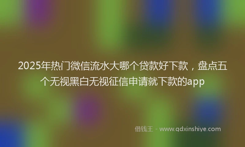 2025年热门微信流水大哪个贷款好下款，盘点五个无视黑白无视征信申请就下款的app