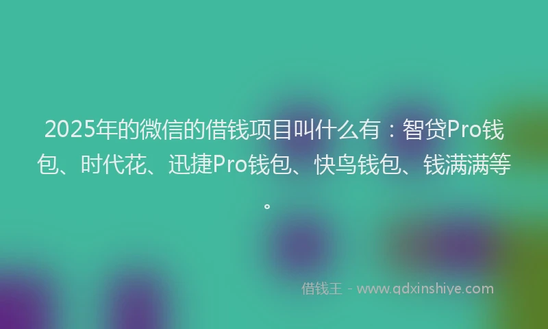 2025年的微信的借钱项目叫什么有：智贷Pro钱包、时代花、迅捷Pro钱包、快鸟钱包、钱满满等。