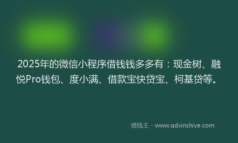 2025年的微信小程序借钱钱多多有：现金树、融悦Pro钱包、度小满、借款宝快贷宝、柯基贷等。