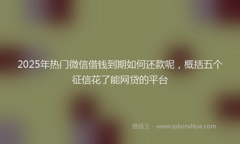2025年热门微信借钱到期如何还款呢，概括五个征信花了能网贷的平台