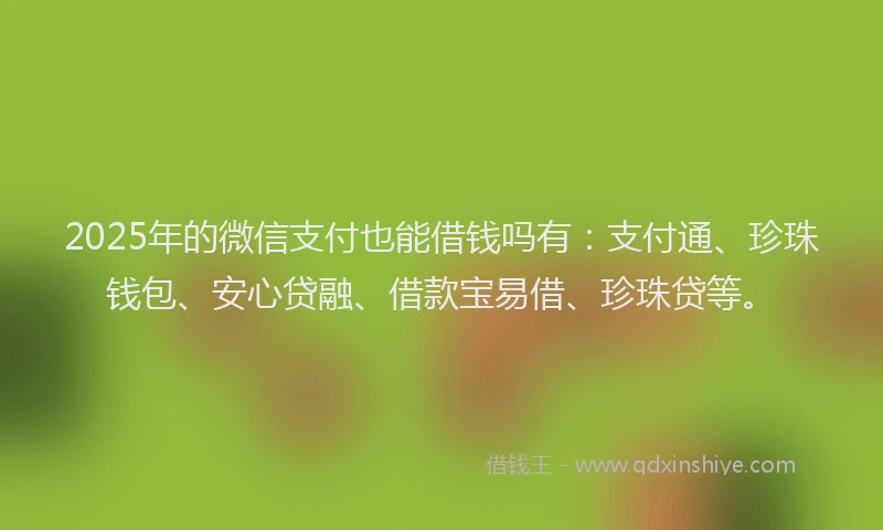 2025年的微信支付也能借钱吗有：支付通、珍珠钱包、安心贷融、借款宝易借、珍珠贷等。