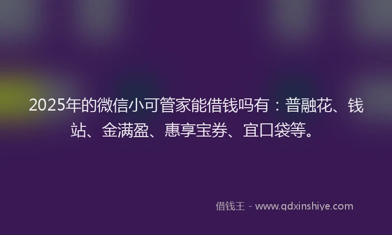 2025年的微信小可管家能借钱吗有：普融花、钱站、金满盈、惠享宝券、宜口袋等。